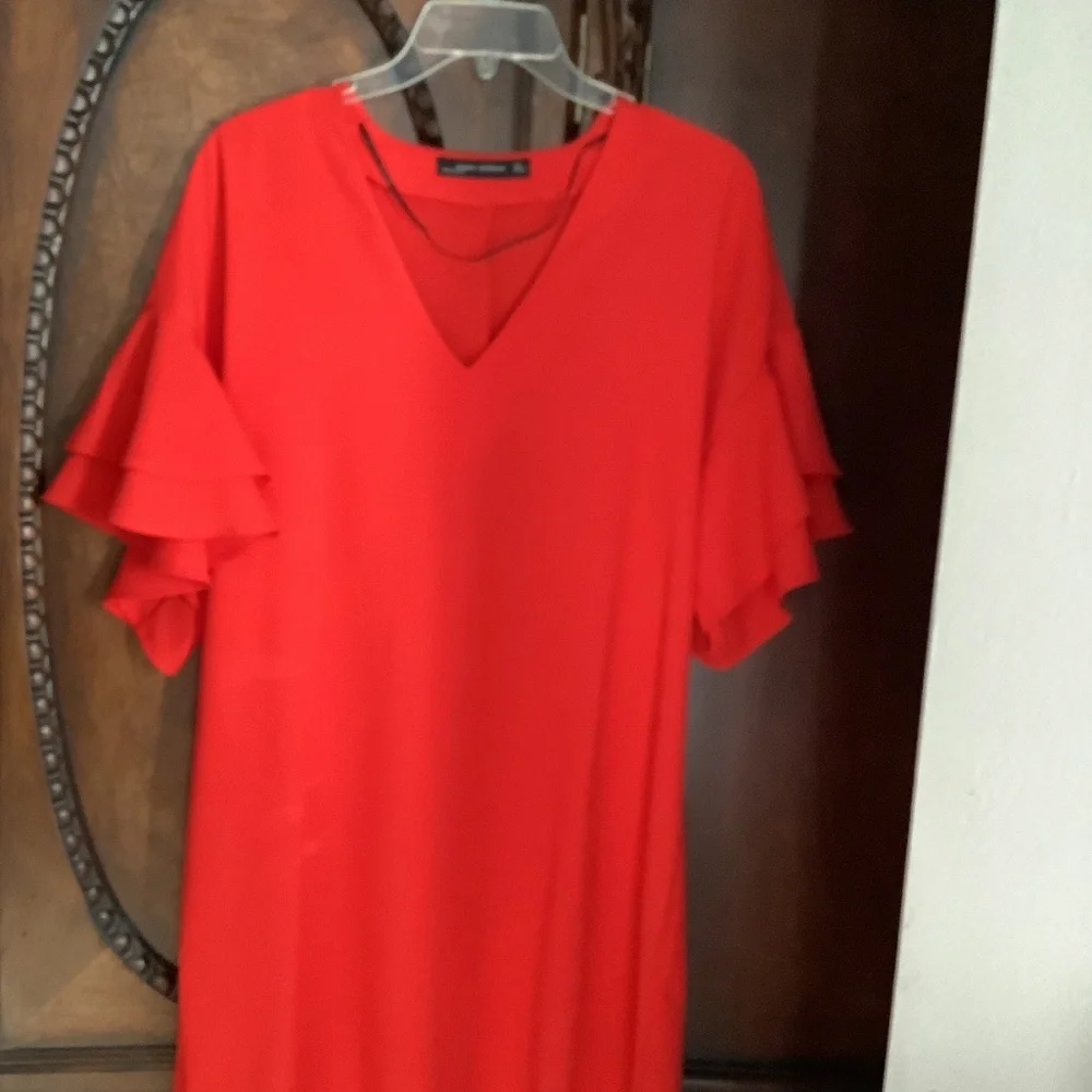Clothes - Picture 4 of 4